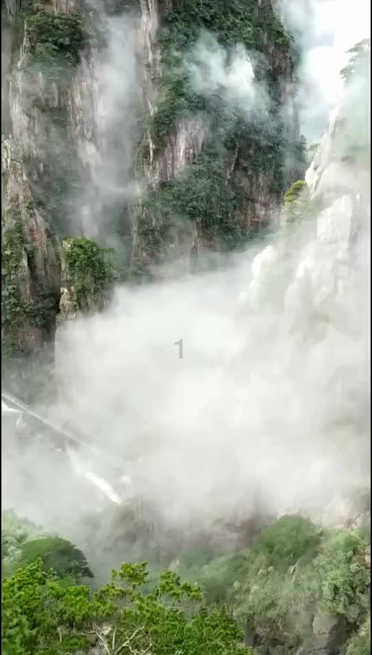 万词王